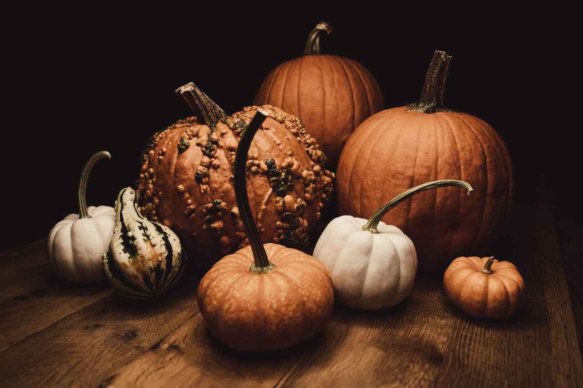 Haunted by Recovery?  Surviving Halloween with&nbsp;Sobriety